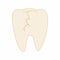 Cracked tooth icon, cartoon style