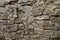 Cracked tree bark closeup texture photo. Rustic tree bark closeup. Oak bark pattern.