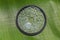 Cracked UV filter lens to camera lens on green leaf of banana tree. Cracked glass with a hole in middle created an interesting.