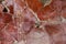 Cracked wall Red painted fresco Pompeii. italy