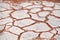 Cracked white dry clay surface on orange sand background in Etosha salt pan Namib desert top view closeup