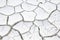 Cracked White Soil Texture Background. Generative AI