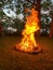 Crackling campfire made of twigs in a lush forest setting, with a calm river in the background