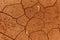 Cracks of the dried soil in arid season / Arid soil , Cracked earth texture of ground broken and rough surface red mud clay