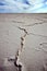 Cracks on the dry salt lake, Central Australia