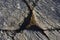 Cracks forming triangle on bedrock