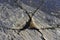Cracks forming triangle on bedrock