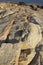 Cracks in grantite rock along the coast of Connecticut, vertical.