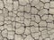 Cracks in the ground. Aridity. Gray soil. Desert. Close up of cracked mud. Texture