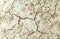 Cracks in the ground, Close up of an surface of dry land ,Many cracks on dry ground, the texture of the earth