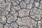 Cracks in the ground. Dry, dehydrated soil. Drought. Ecological catastrophy
