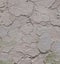 Cracks in the soil and dry soil.