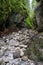 Cracow Gorge in the Tatra Mountains