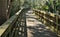 Cradle Creek Preserve Boardwalk