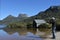 Cradle Mountain-Lake St Clair National Park Tasmania Australia