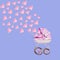 a cradle, a stroller for a newborn girl, pink