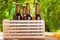 Craft beer on wooden boxon blurred forrest background, summer drinks,coloured bottles