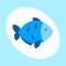 Craft blue fish animal nature food and ecology environment tropical natural thunnus icon saltwater healthy big