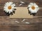 craft brown envelope and two white daisies on old wooden background with petals