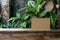 Craft brown paper card on a vintage wooden table with indoor plants