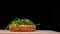 Craft burger is cooking on black background. Consist: sauce, arugula, tomato, onion, bacon, currant sauce, ricotta