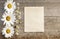 Craft paper on a wooden background with large and small daisies