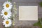 Craft paper on a wooden background with large and small daisies