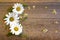 Craft paper on a wooden background with large and small daisies