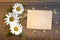 Craft paper on a wooden background with large and small daisies