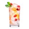 Crafted cocktail with berries, a slice of orange, ice cubes and a sprig of mint