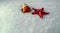 Crafted starfish and natural snail shell