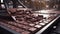 Crafting Decadence: Dark Chocolate Factory Production Line