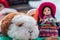 Crafts of Andean guinea pig and doll - Cajamarca Peru