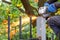 Craftsman cuts metal pillar metal with disc angle grinder on blurred background of green park