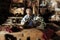Craftsman making luxury handmade man shoes