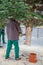 craftsman saws off a fir tree with a chainsaw