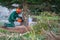 craftsman saws off a fir tree with a chainsaw