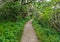 Craggy Pinnacle Trail North Carolina