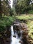 Cragside gardens in Northumberland with reflections in stream