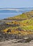 Cramond Island, Scotland