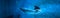Cramp-fish in blue water. Stingray swimming