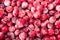 Cranberries background