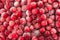 Cranberries background