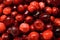 Cranberries close-up