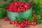 Cranberries close-up. Green basket with fresh cranberries lingonberries on wooden background