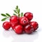 Cranberries: Infused Symbolism On A White Background