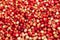 Cranberries. Red and orange background of ripe juicy autumn berries.