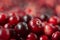 The cranberries. Small forest red berry. A scattering of cranberries. Vitamins from nature. Macro photo. Selective focus