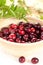 Cranberries in wooden bowl