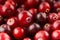 Cranberry background. Berry